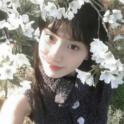 扭曲的家